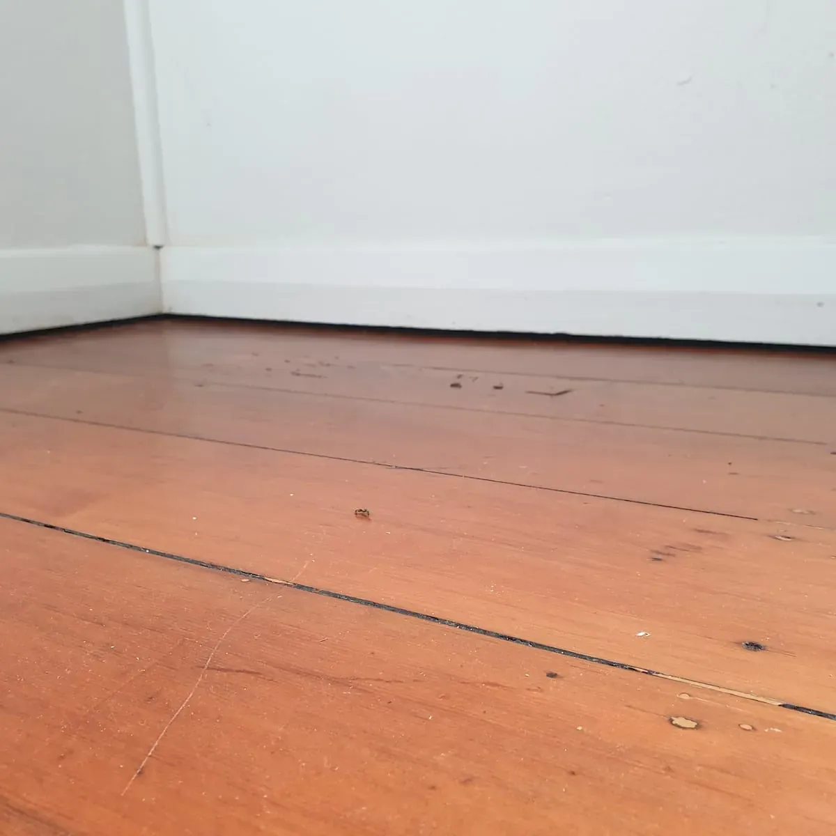 House leveling work