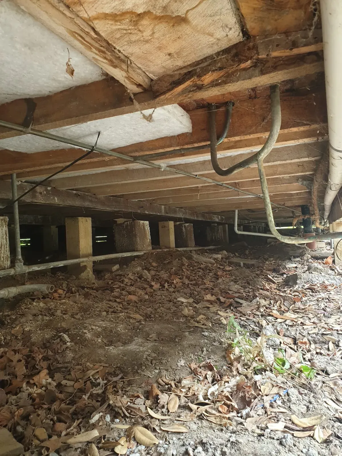House leveling Wellington NZ