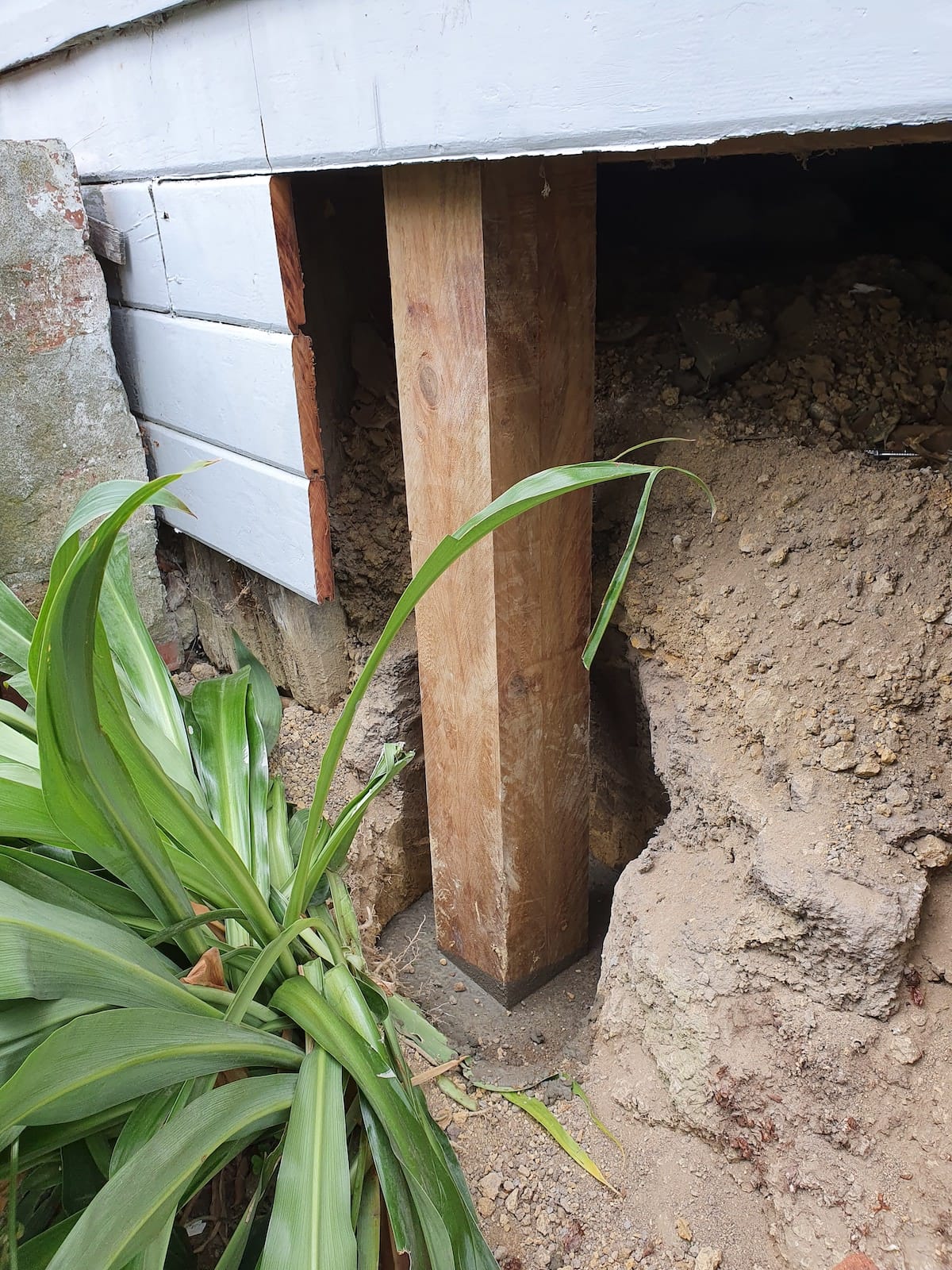 Accessing old concrete piles Wellington