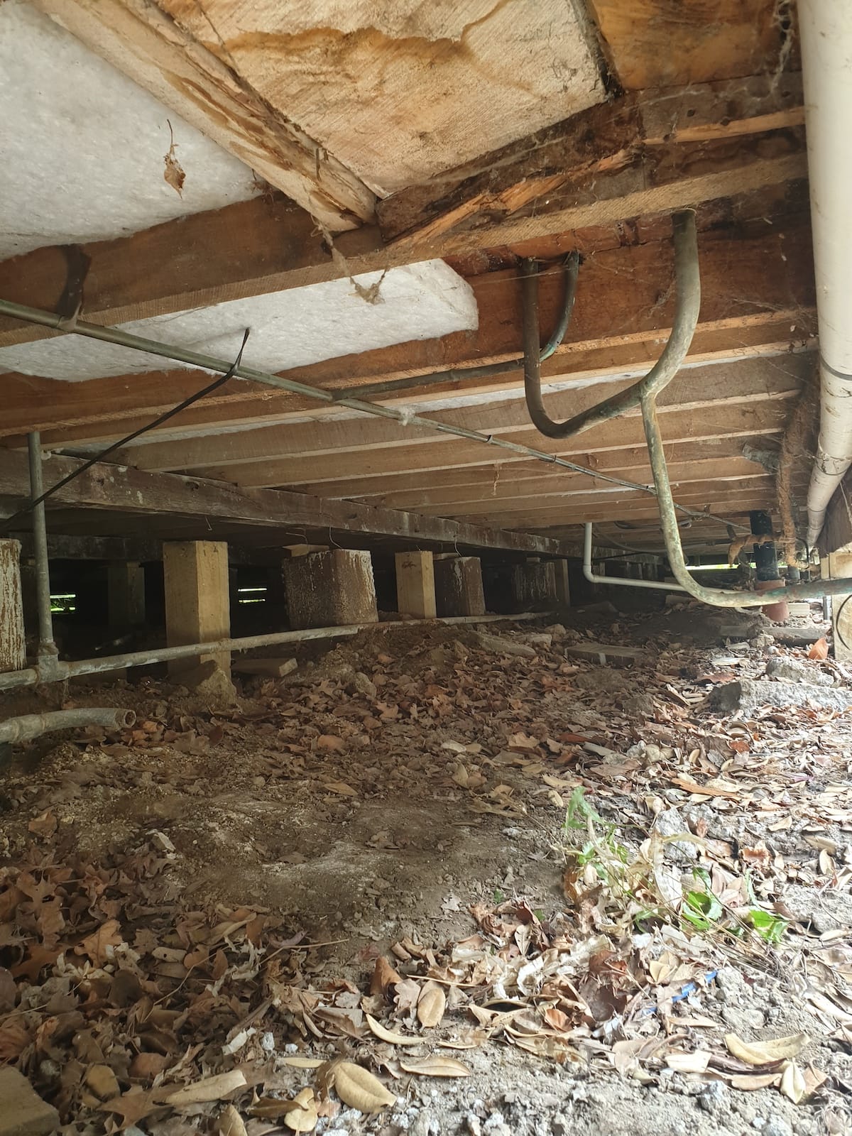 House leveling Wellington NZ