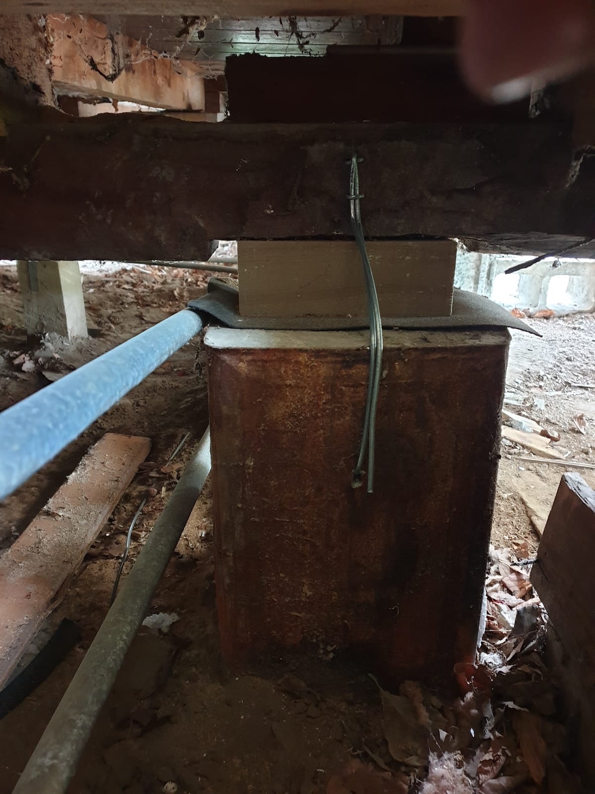 Jack and pack Wellington foundation